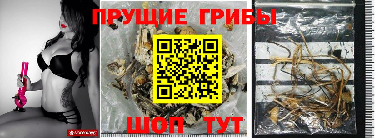 Псилоцибиновые грибы мухоморы Азов