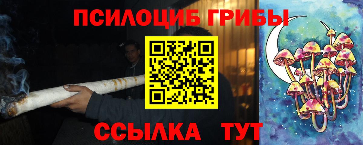 Псилоцибиновые грибы мицелий  где продают наркотики  Азов  Вход с VPN 